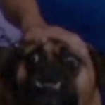 iRRxnSp's avatar